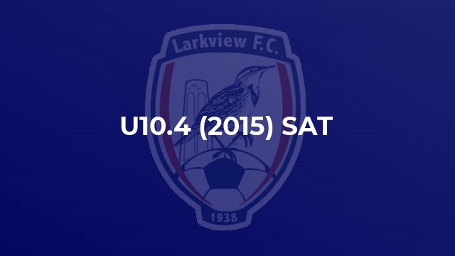 U10.4 (2015) SAT