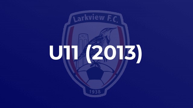 U11 (2013)