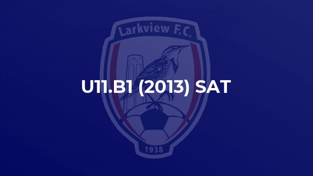 U11.B1 (2013) SAT