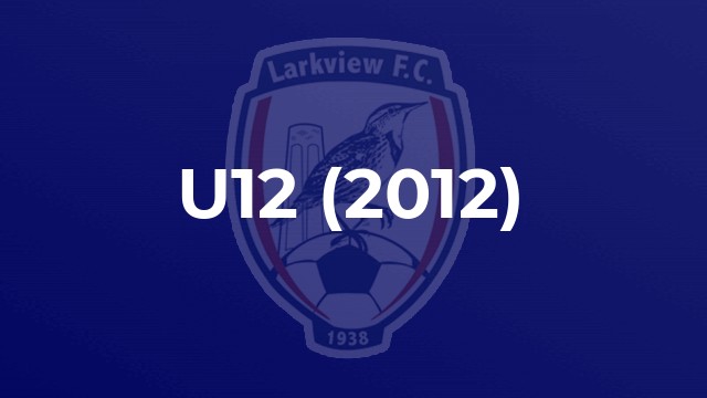 U12 (2012)