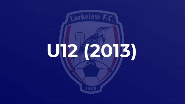 U12 (2013)