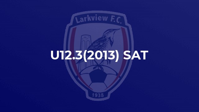 U12.3(2013) SAT