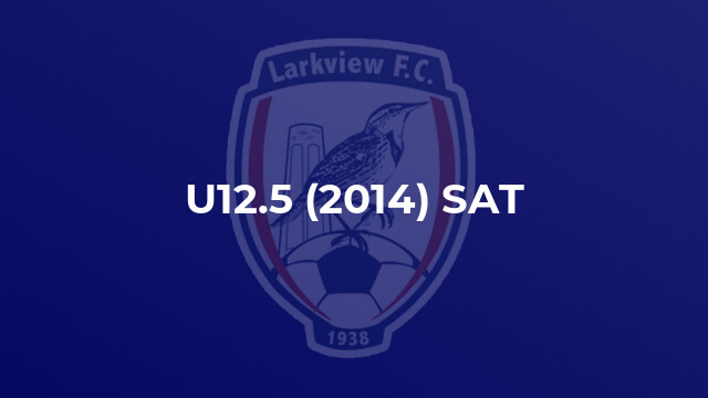 U12.5 (2014) SAT