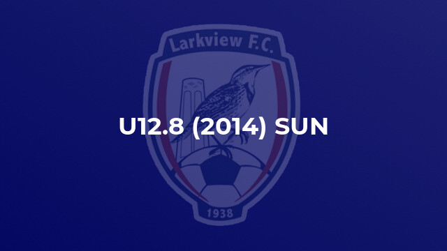 U12.8 (2014) SUN