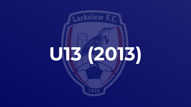 U13 (2013)
