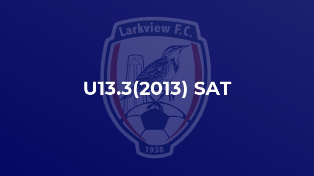 U13.3(2013) SAT