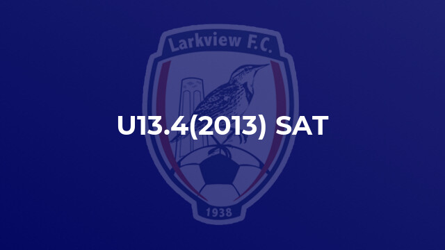 U13.4(2013) SAT
