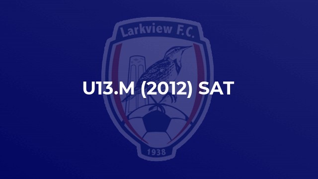 U13.M (2012) SAT