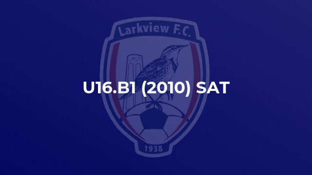 U16.B1 (2010) SAT