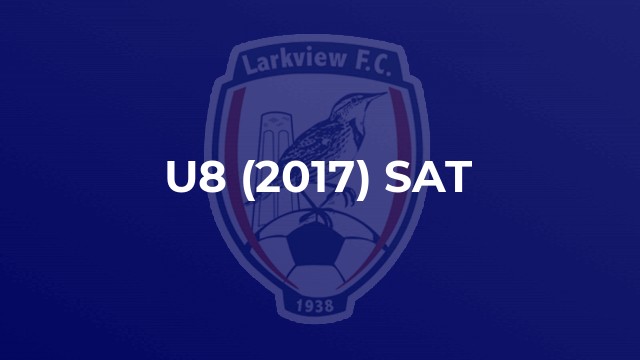 U8 (2017) SAT