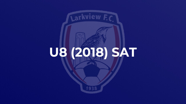 U8 (2018) SAT