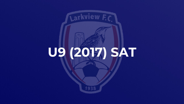 U9 (2017) SAT