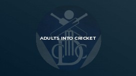 Adults Into Cricket