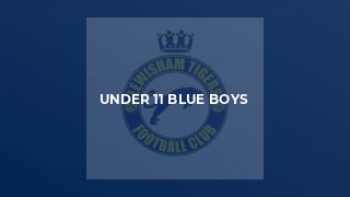 Under 11 Blue Boys