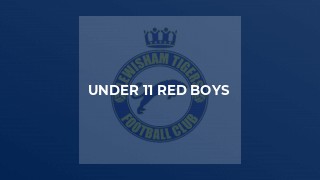 Under 11 Red Boys