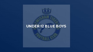 Under 12 Blue Boys