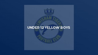 Under 12 Yellow Boys