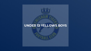 Under 13 Yellows Boys