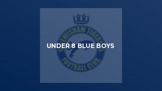 Under 8 Blue Boys