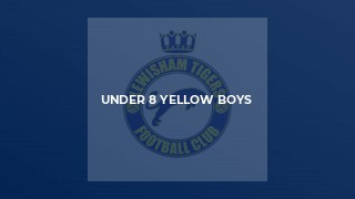 Under 8 Yellow Boys
