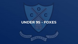 Under 9s - Foxes