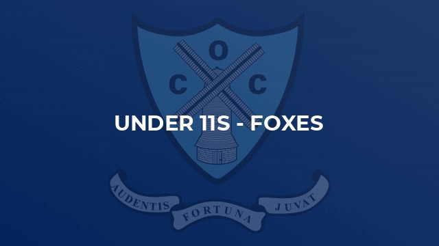 Under 11s - Foxes