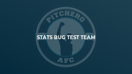 Stats Bug Test Team