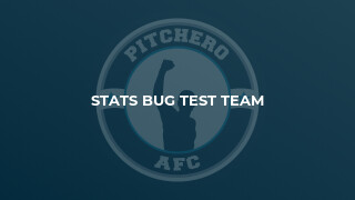Stats Bug Test Team