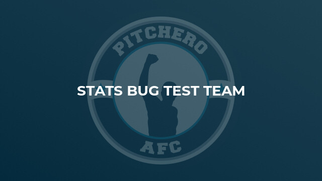 Stats Bug Test Team