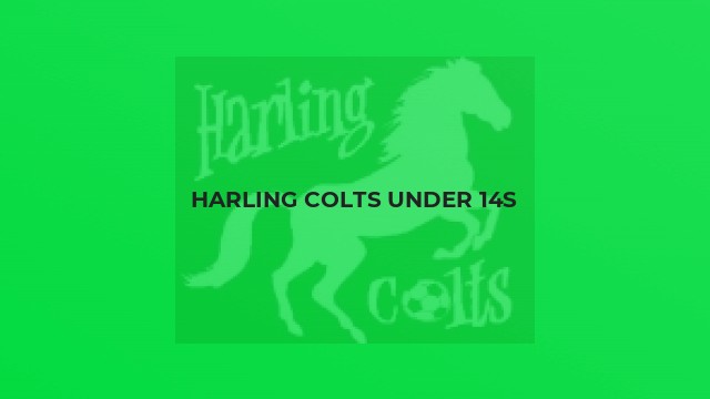 Harling Colts Under 14s