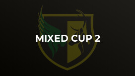 Mixed Cup 2