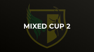 Mixed Cup 2
