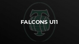 Falcons U11