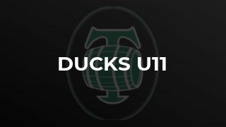 Ducks U11