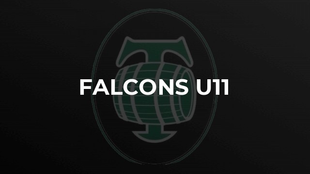 Falcons U11