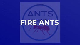 FIRE ANTS