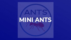 MINI ANTS