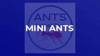 MINI ANTS