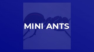 MINI ANTS