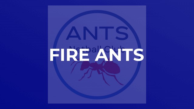 FIRE ANTS