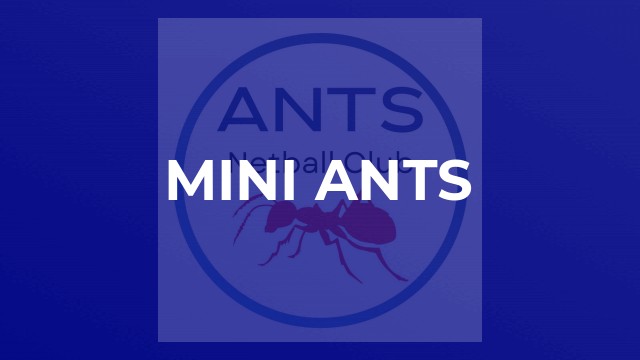 MINI ANTS