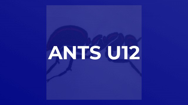 ANTS U12