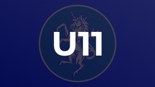 U11