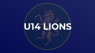 U14 Lions