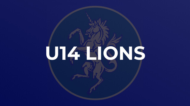U14 Lions