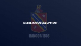 Datblygu/Development