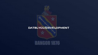 Datblygu/Development