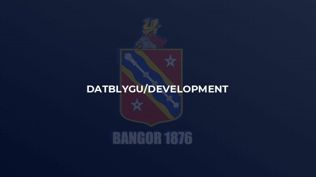 Datblygu/Development