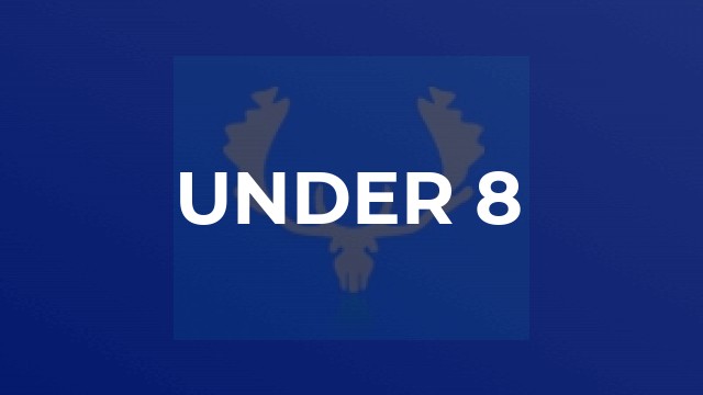 Under 8