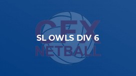SL Owls Div 6